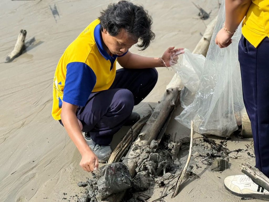 มทร.ศรีวิชัย ตรัง รวมพลังเก็บขยะหาดราชมงคล                        ฟื้นฟูชายหาดต้อนรับไฮซีซั่นทะเลอันดามัน - มทร.ศรีวิชัย (RMUTSV)